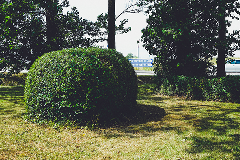 Preparing our small beer garden