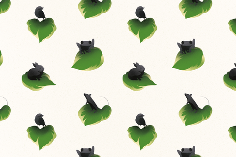 Little Creatures (Micro IPA)