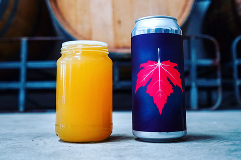 Luminous Seasons (DIPA)