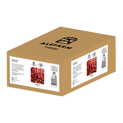 24 x Cascara (Lager)