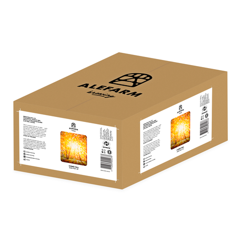 24 x Come Fall (IPA)