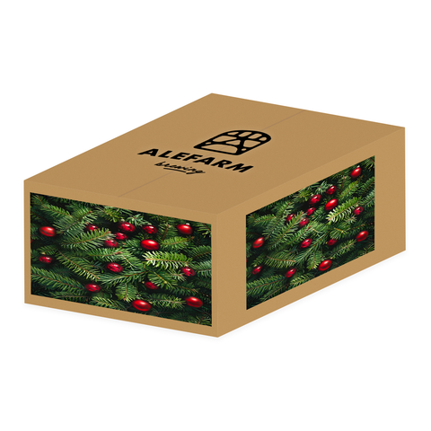 24 x JuleΓΈl (Red Ale og IPA)