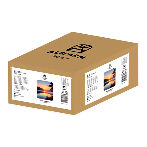 24 x Quiet Mornings (DIPA)