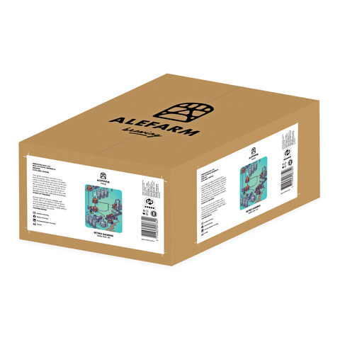 24 x Retro Gaming (IPA)