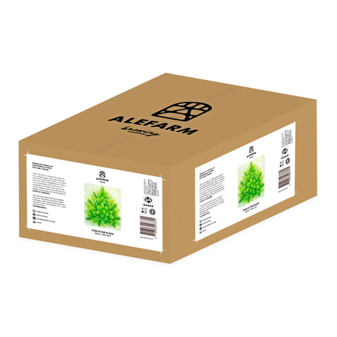 24 x This Is The Place (Spruce Tip Lager)