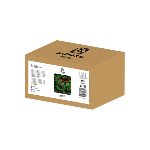 12 x Julebajer (IPA)
