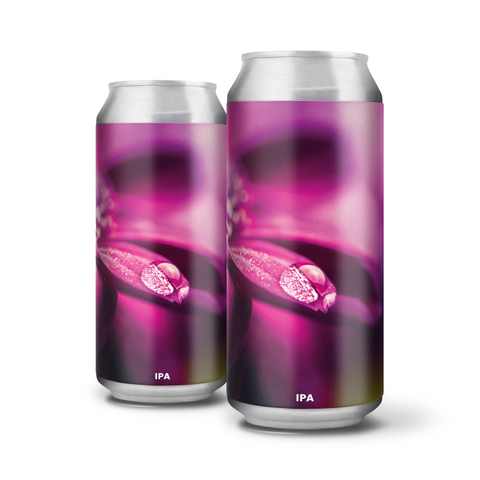 And Then The Rain Came (IPA)