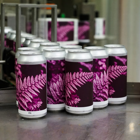 Shadows and Light (IPA)