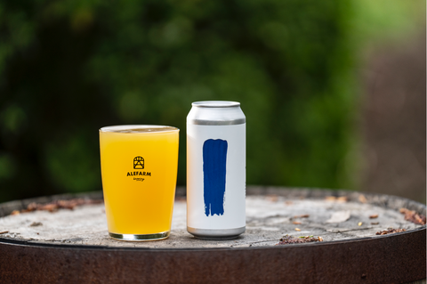 Pivot - Mosaic (IPA)