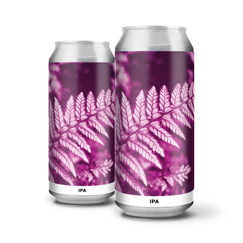 Shadows and Light (IPA)