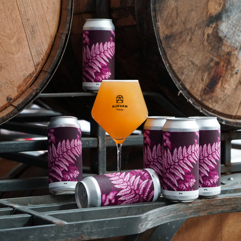 Shadows and Light (IPA)