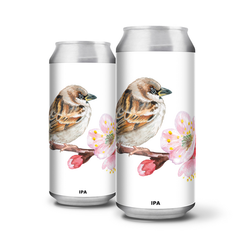 Sparrow (IPA)