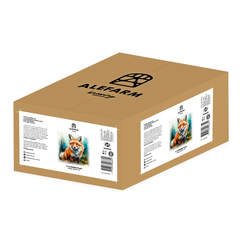 24 x A Cunning Plan (Hoppy Blonde Ale)
