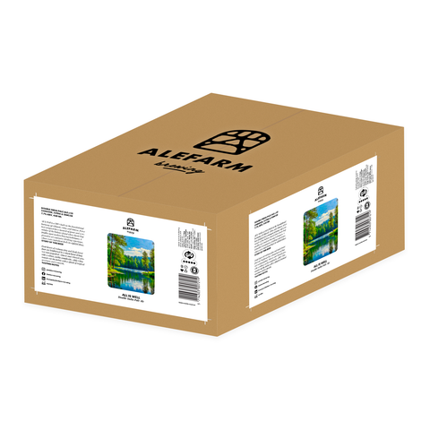 24 x All Is Well (DIPA)