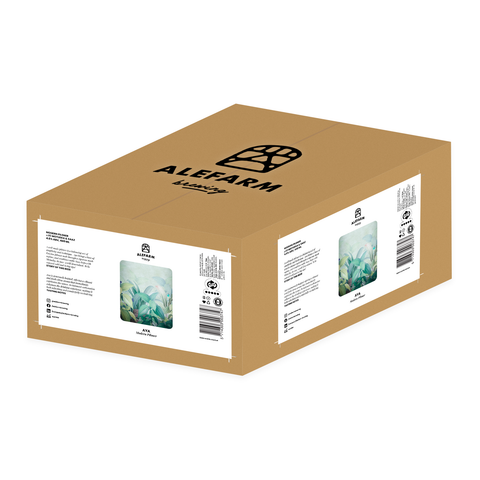 24 x Aya (Modern Pilsner)