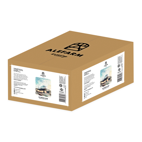 24 x Returning Home (DIPA)