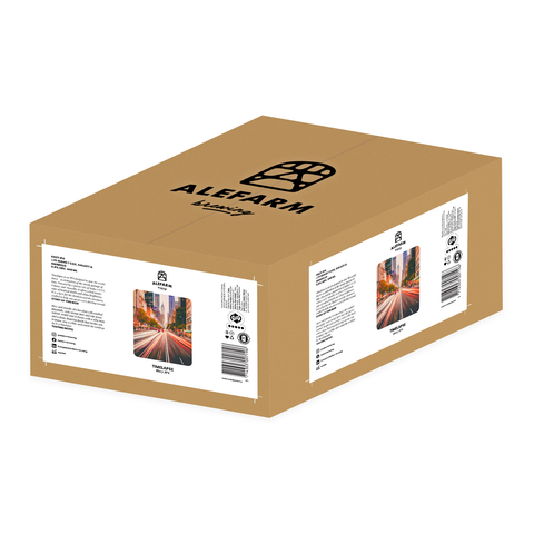 24 x Timelapse (IPA)